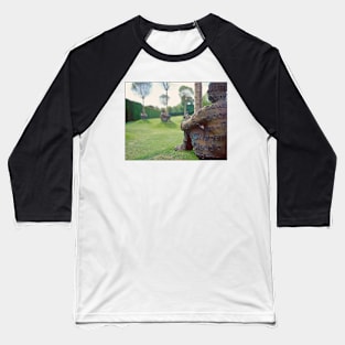 The Heart of Trees Baseball T-Shirt